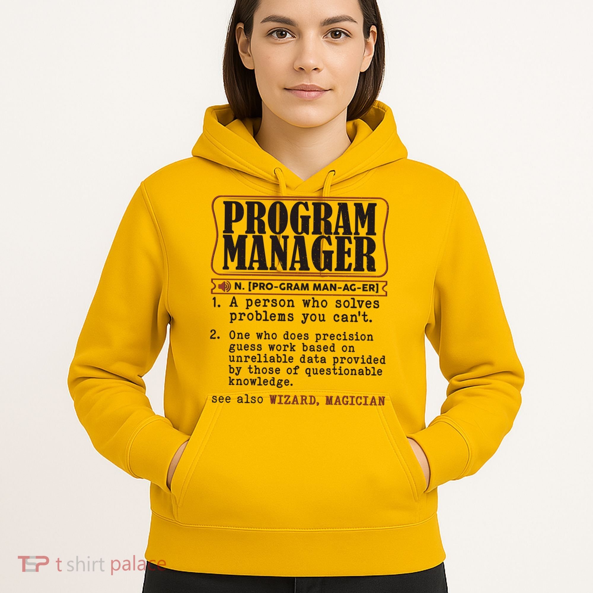 Program Manager Definition Hoodie