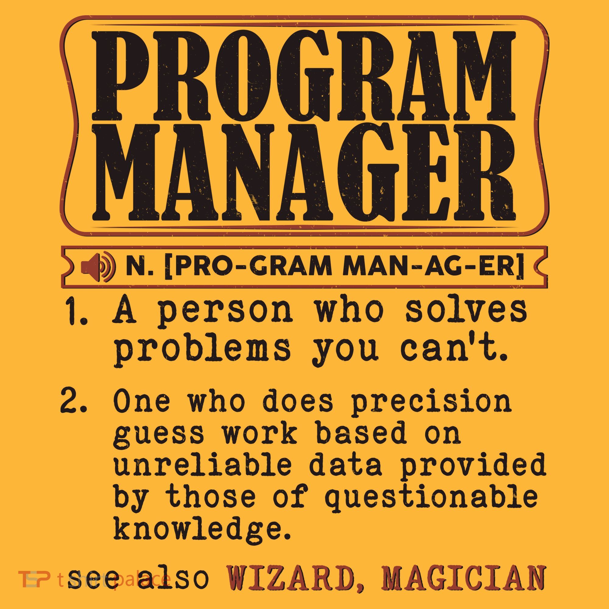 Program Manager Definition Polo