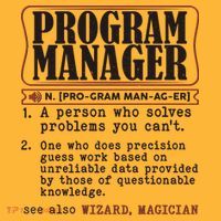 Program Manager Definition Kids Long Sleeve Shirt thumb 2
