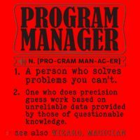 Program Manager Definition Santa Hat thumb 1