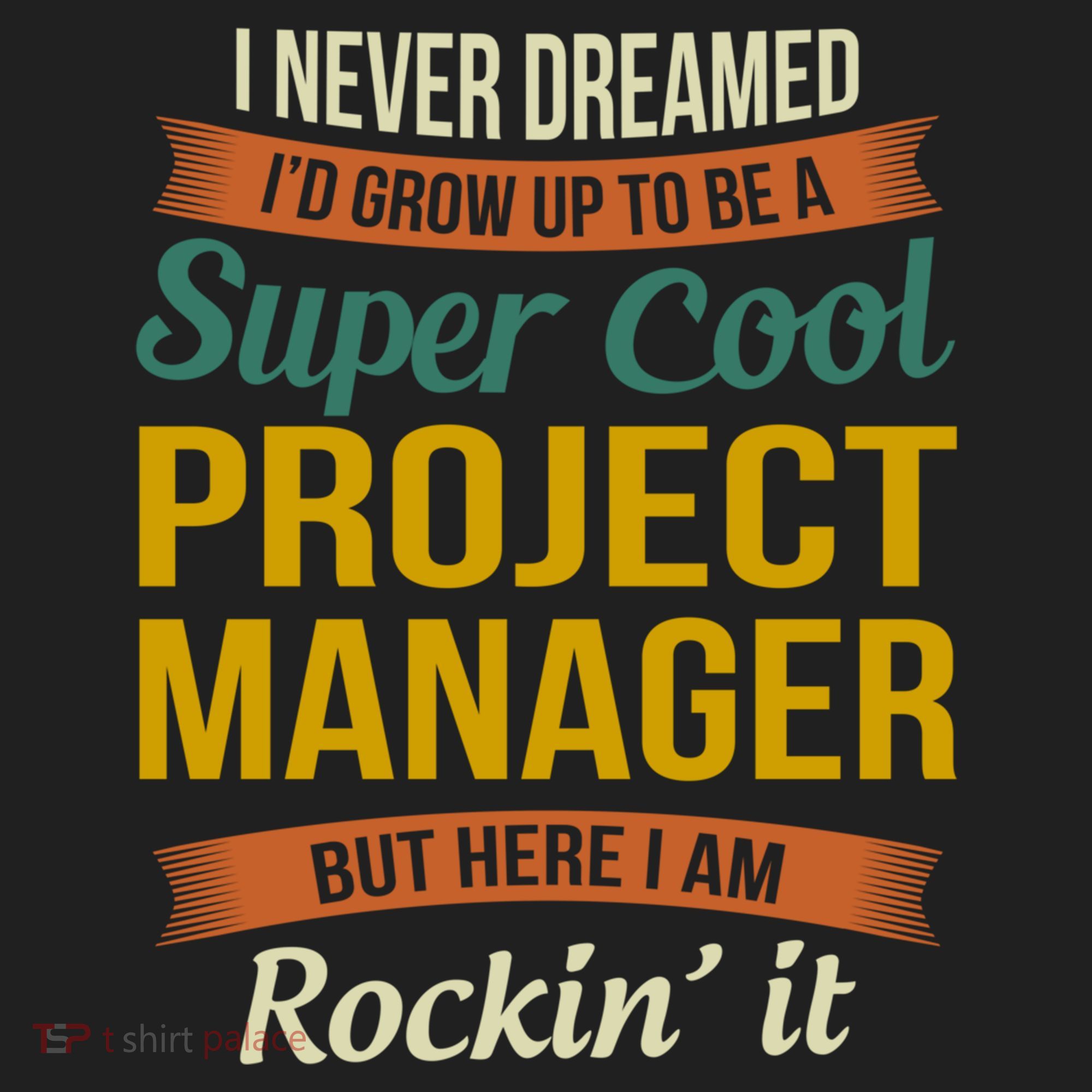 Project Manager Gift Funny Appreciation Gift Beanie