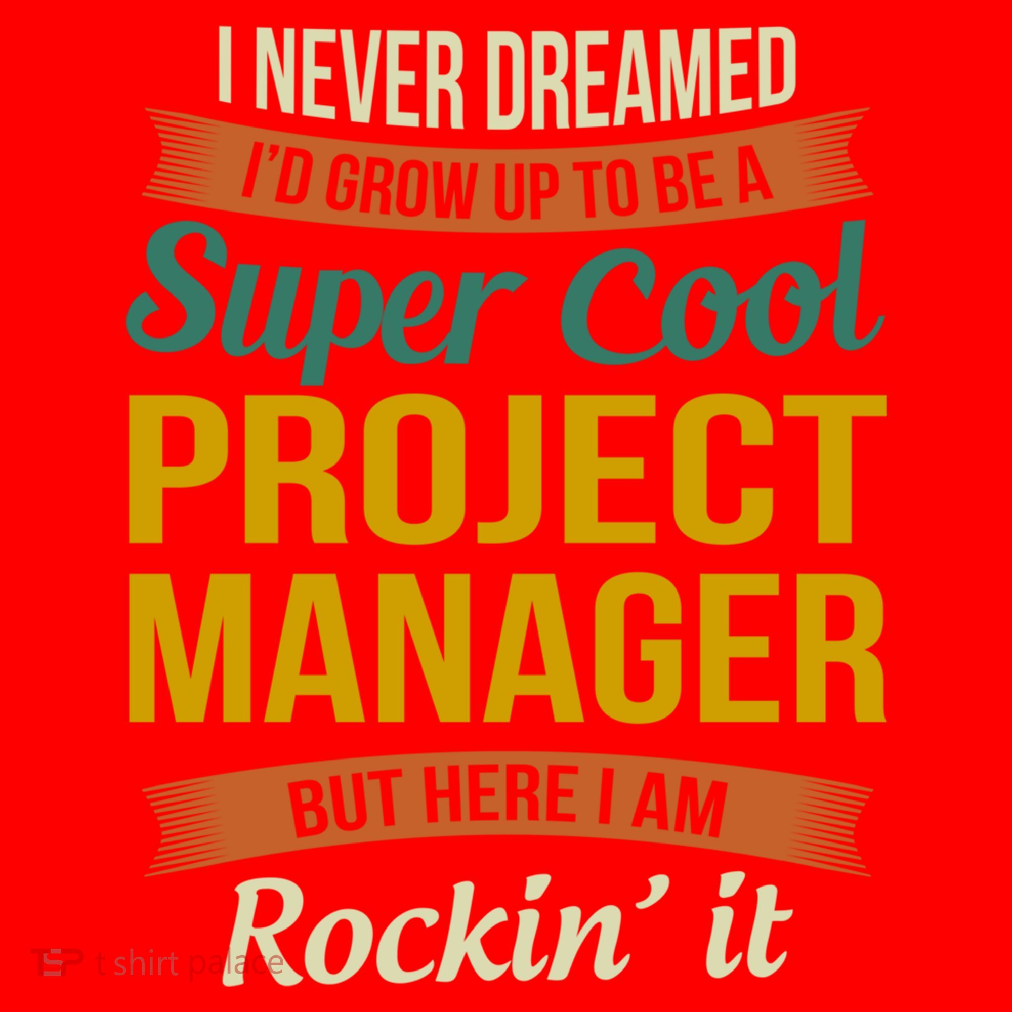 Project Manager Gift Funny Appreciation Gift Santa Hat