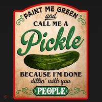Paint Me Green And Call Me A Pickle Funny Bucket Hat thumb 4