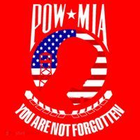 Pow Mia Gift American Flag You Are Not Forgotten Gift Santa Hat thumb 1