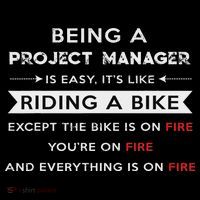 Project Manager Is Easy Funny Humor Button thumb 1