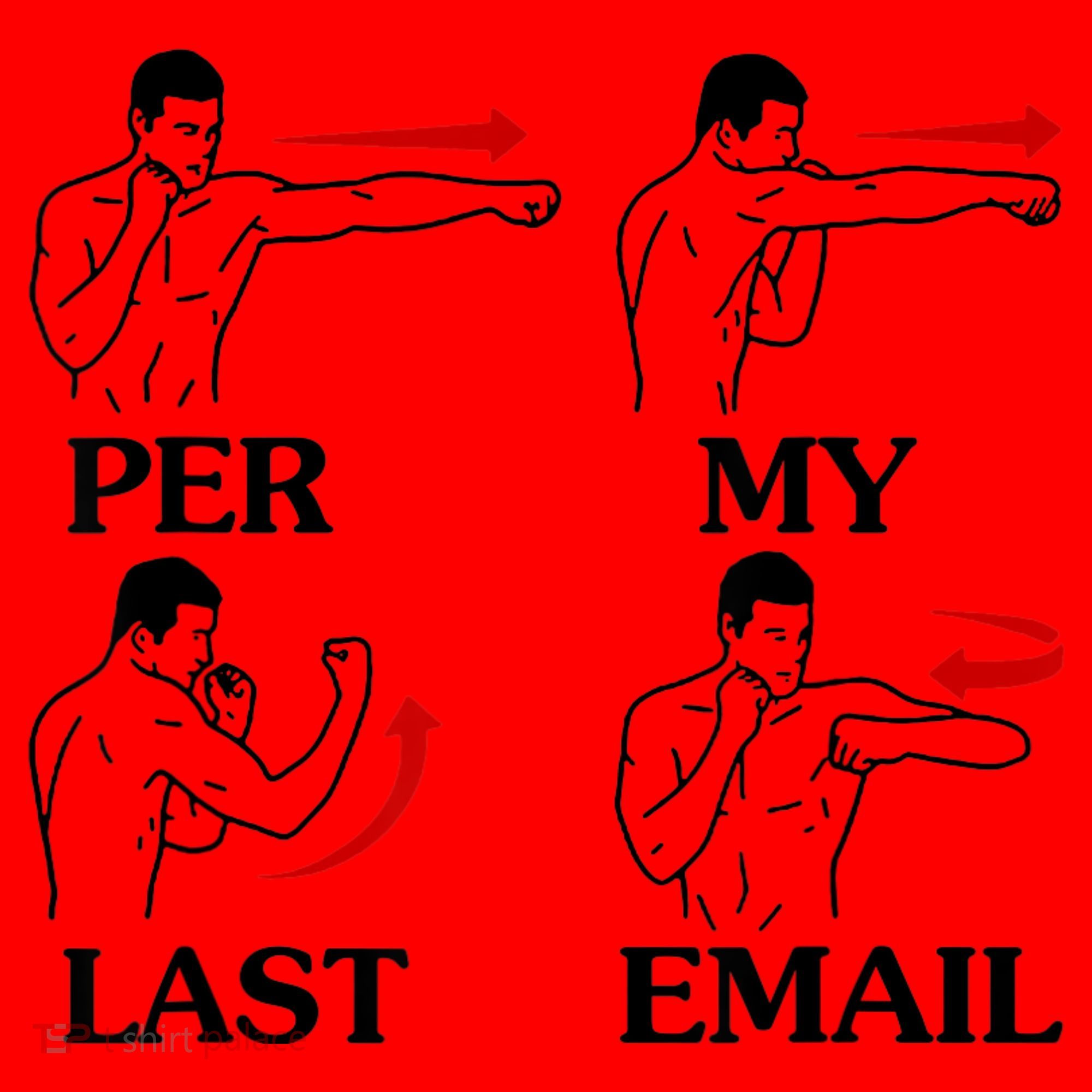 Per My Last Email Funny Men Costumed Santa Hat