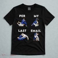 Per My Last Email Office Humor Meme Fight Punch Boxing T-Shirt thumb 5