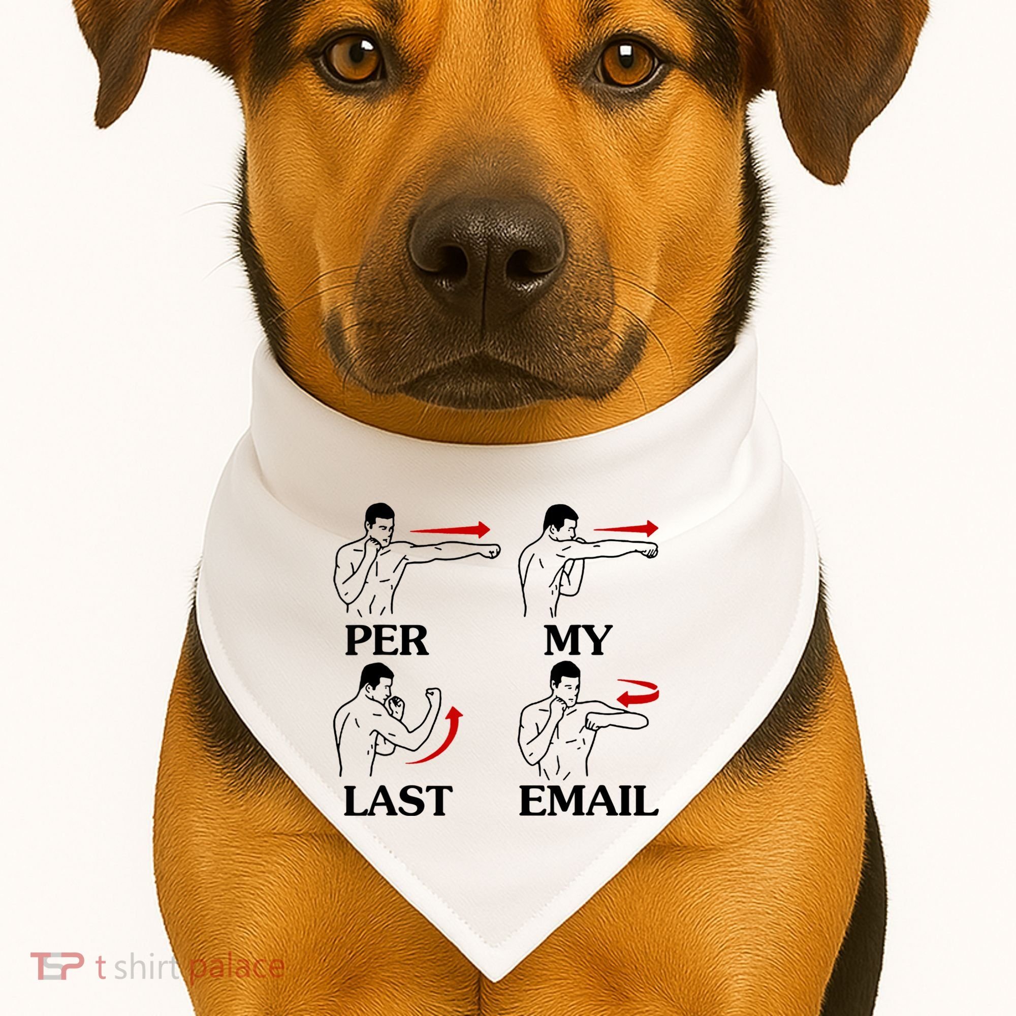 Per My Last Email Funny Men Costumed USA-Made Doggie Bandana