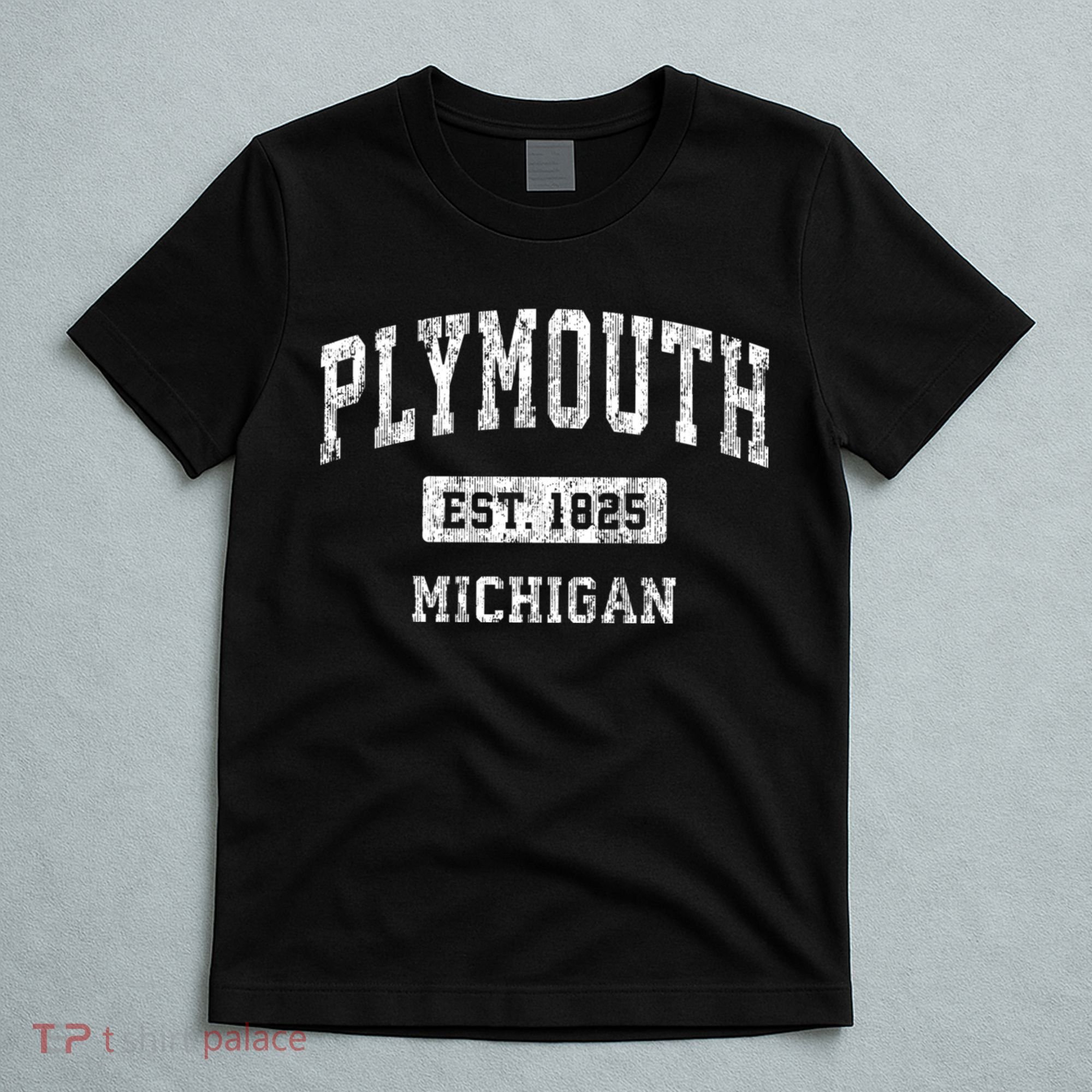 Plymouth Michigan Mi Vintage Sports T-Shirt