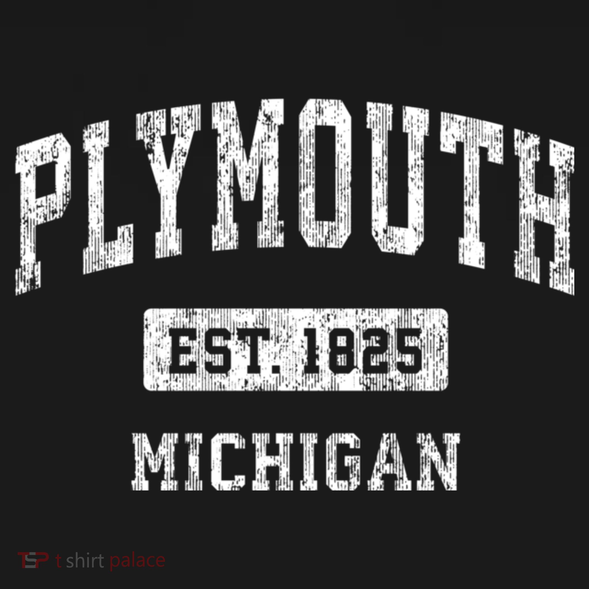 Plymouth Michigan Mi Vintage Sports T-Shirt