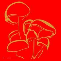 Pilze Magic Mushroom Wald Natur Nature Psy Psycho Trip Santa Hat thumb 1