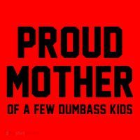 Proud Mother Of A Few Dumbass Kids Funny Santa Hat thumb 1