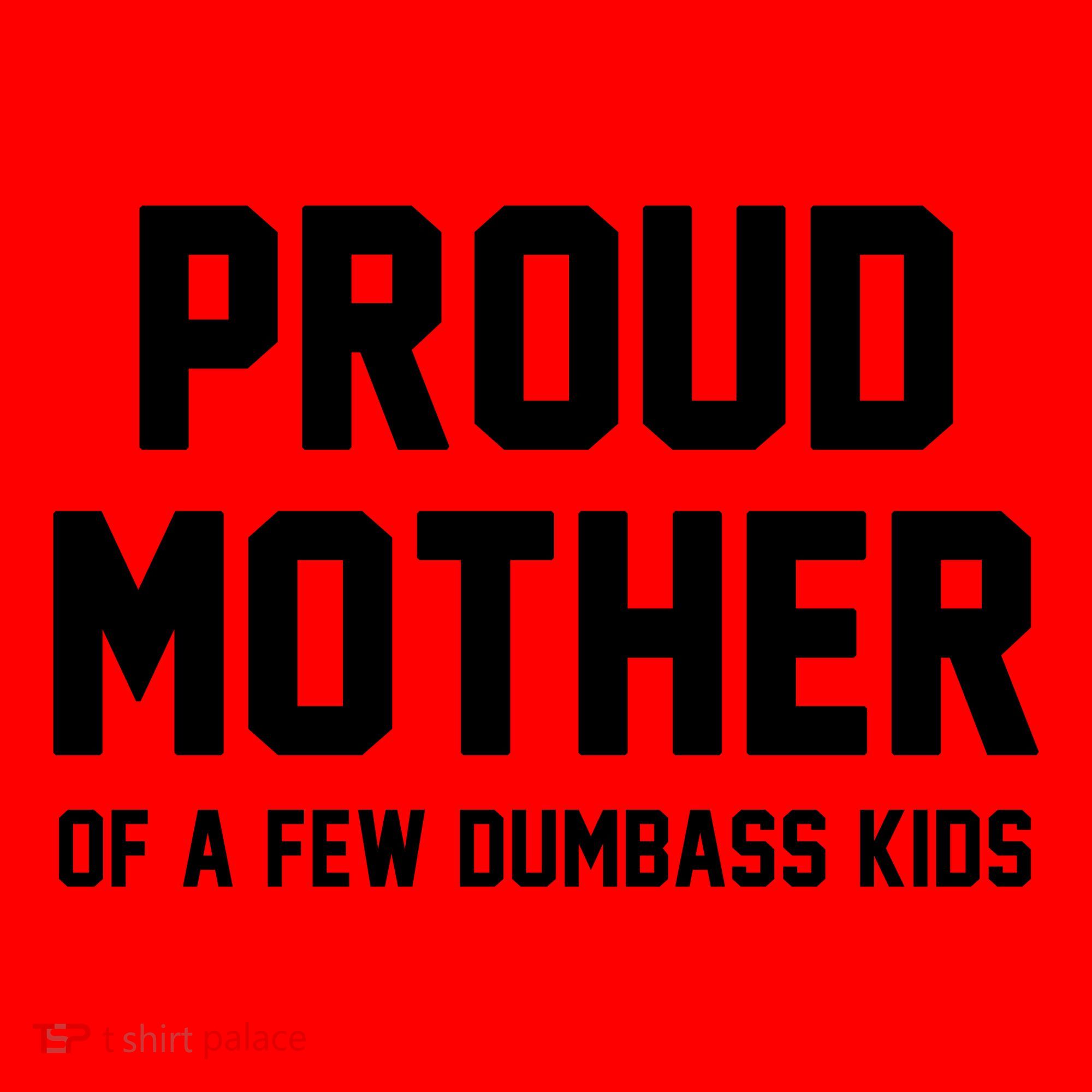 Proud Mother Of A Few Dumbass Kids Funny Santa Hat