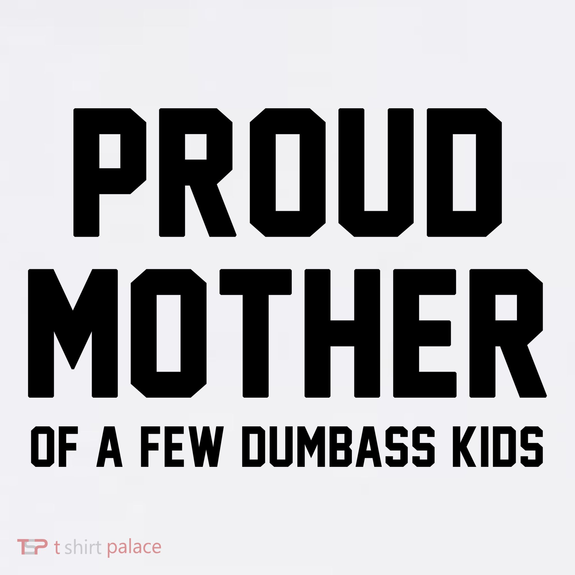Proud Mother Of A Few Dumbass Kids Funny Women's Hoodie