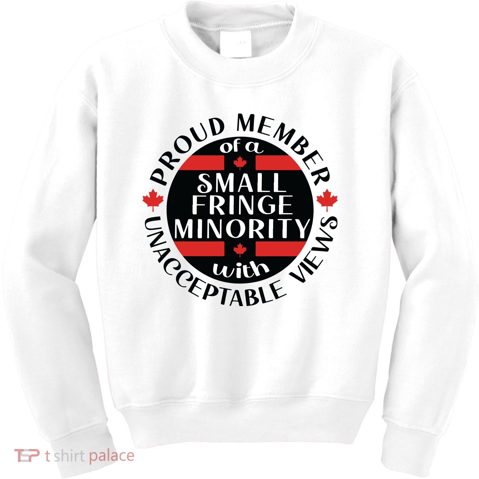Proud Member Of A Small Fringe Minority With Unacceptable Views Kids Sweatshirt
