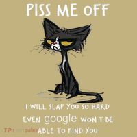 Piss Me Off I Will Slap You So Hard Black Cat T-Shirt thumb 7