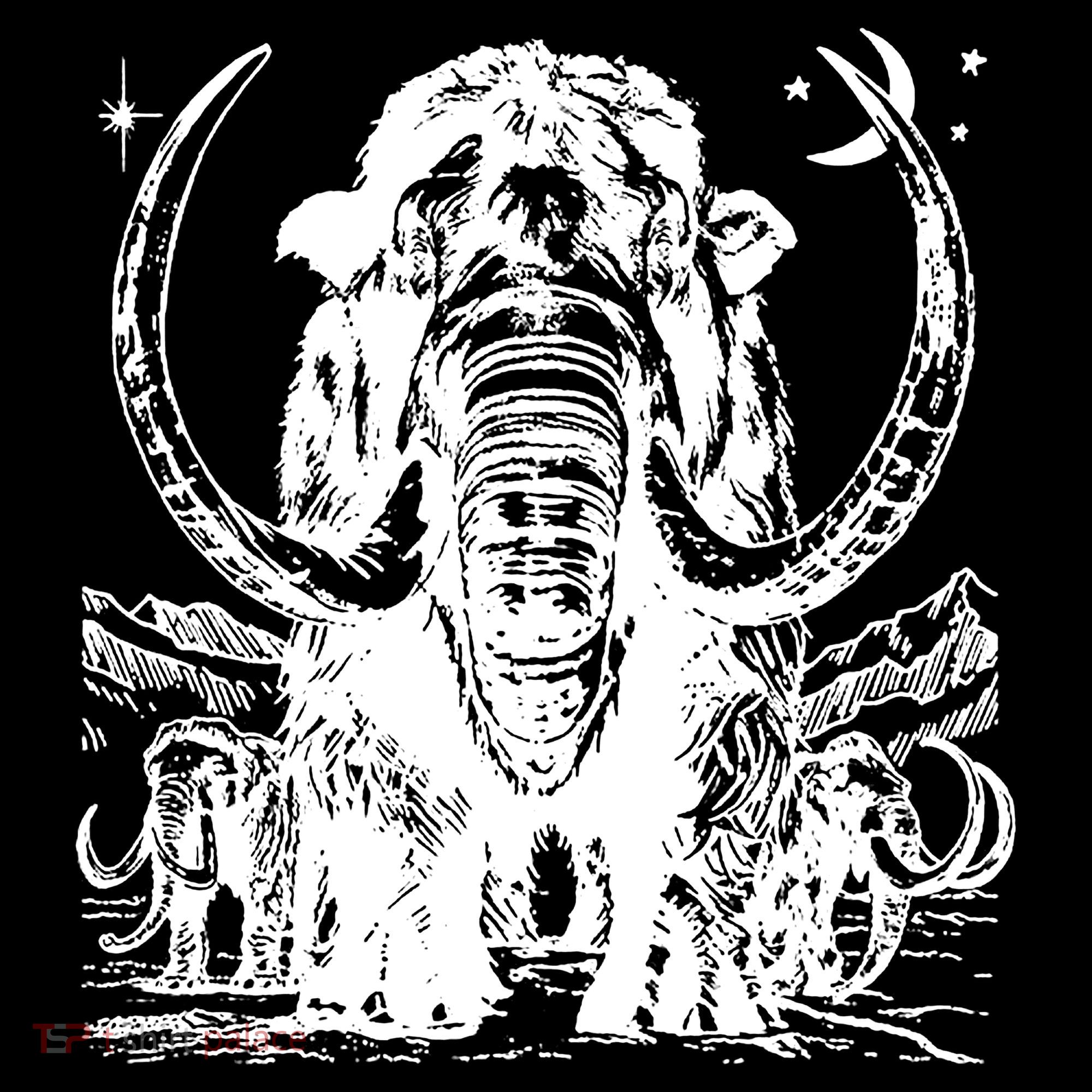 Prehistoric Mammoth Coaster