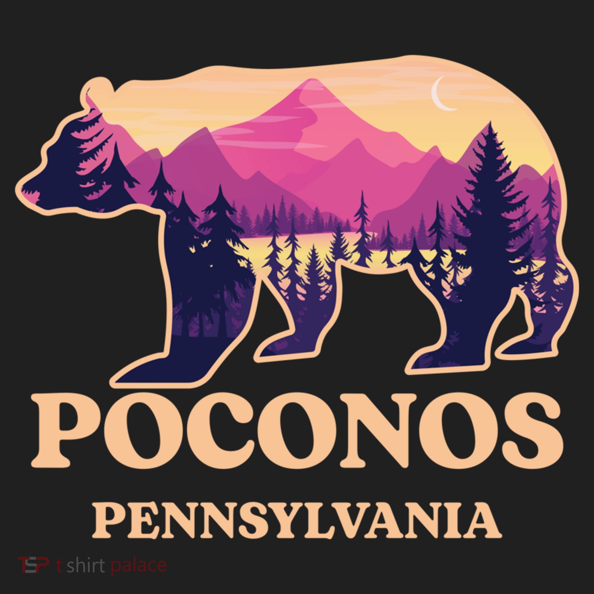 Poconos Mountains Pennsylvania Pa Bear Hiking Souvenirs Women's Sweatshirt