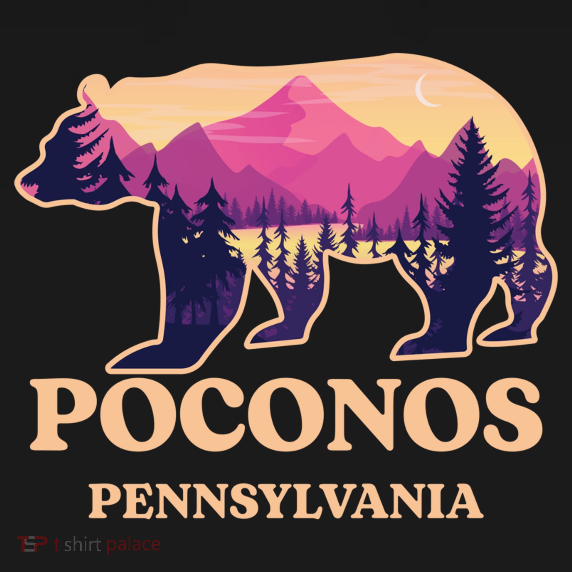 Poconos Mountains Pennsylvania Pa Bear Hiking Souvenirs Sweatshirt