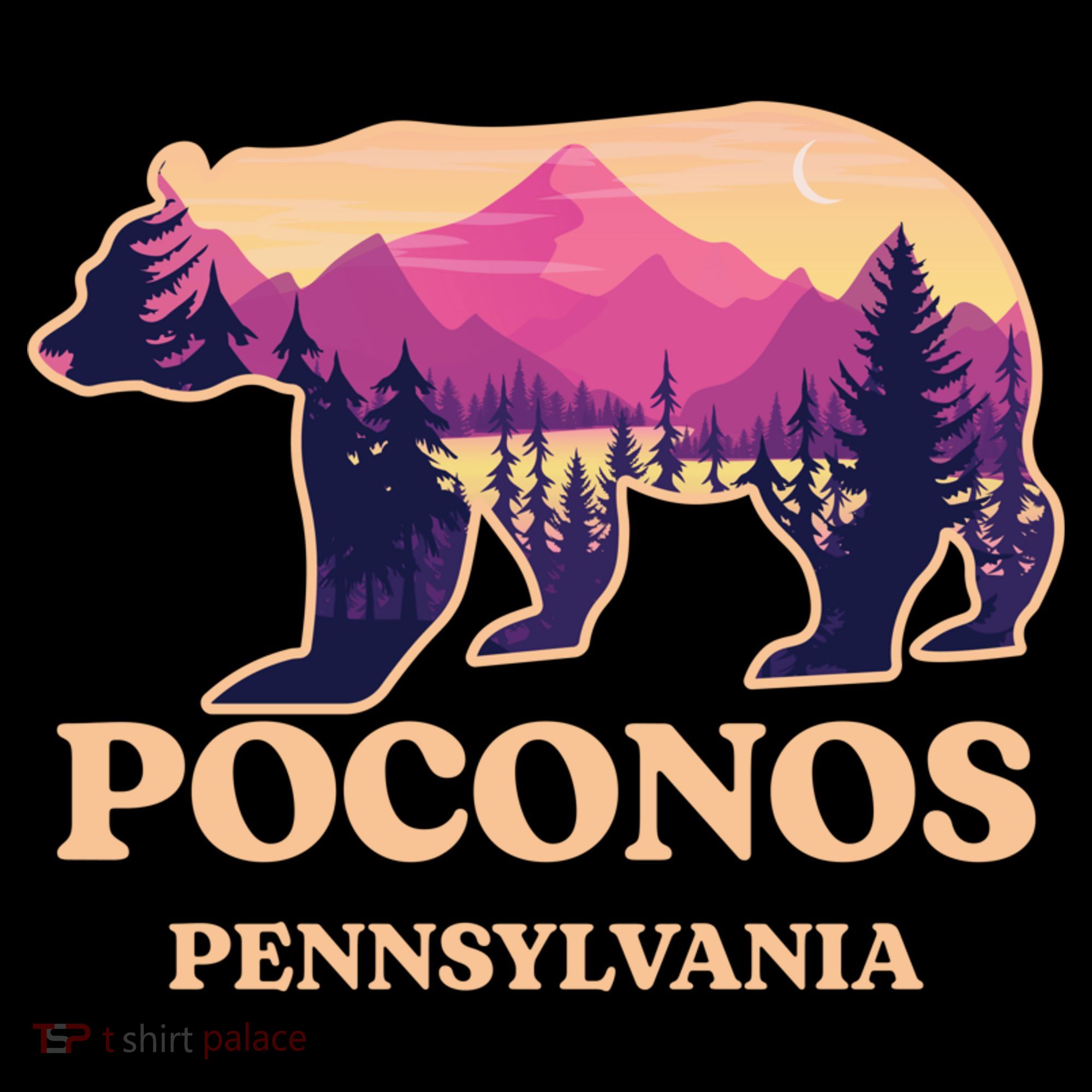 Poconos Mountains Pennsylvania Pa Bear Hiking Souvenirs Women's Hoodie