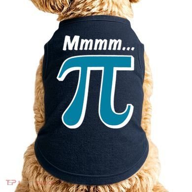 Pi Mmmm Doggie Tank