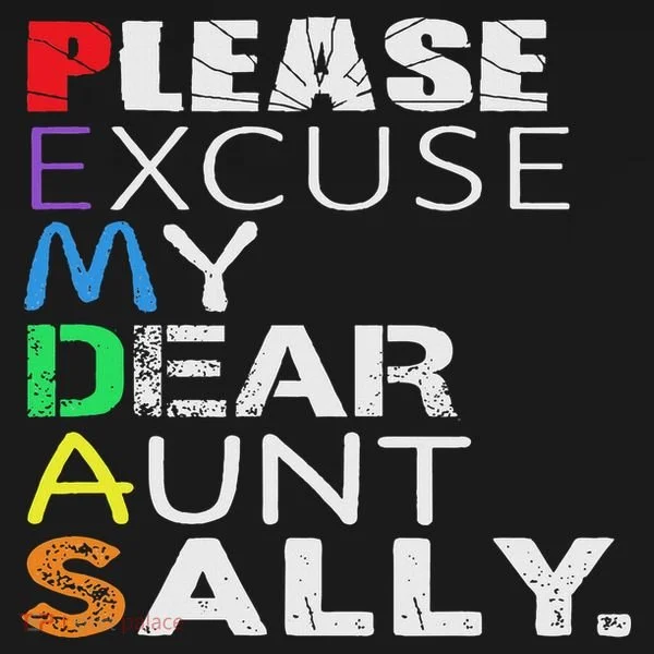 Pemdas Math Please Excuse My Dear Aunt Sally Baby Bodysuit