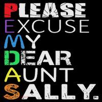 Pemdas Math Please Excuse My Dear Aunt Sally Tank Top thumb 6