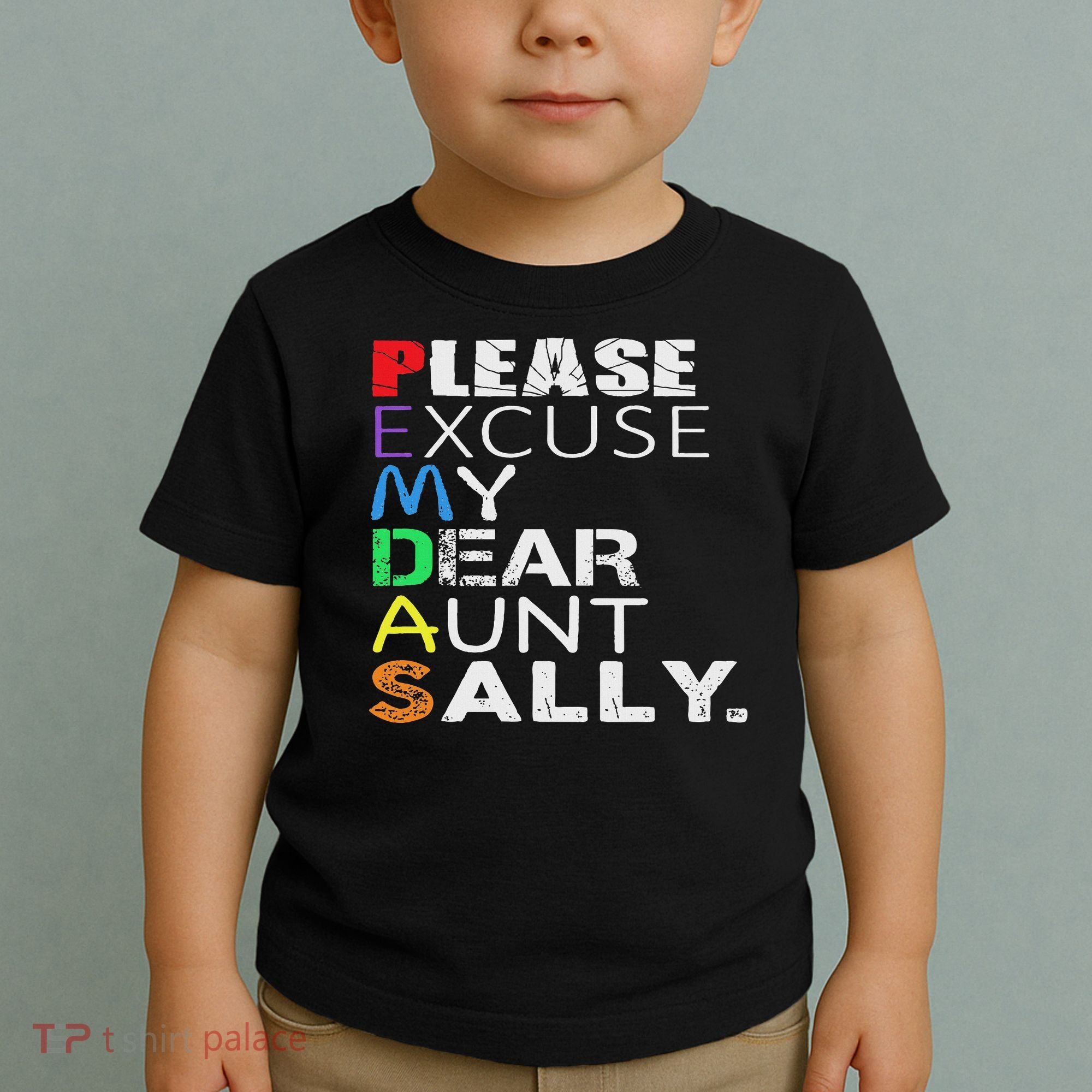 Pemdas Math Please Excuse My Dear Aunt Sally Toddler T-Shirt