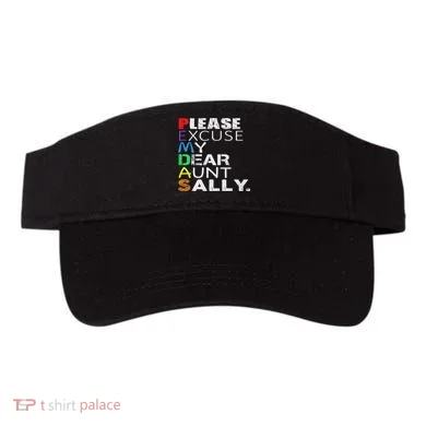 Visor