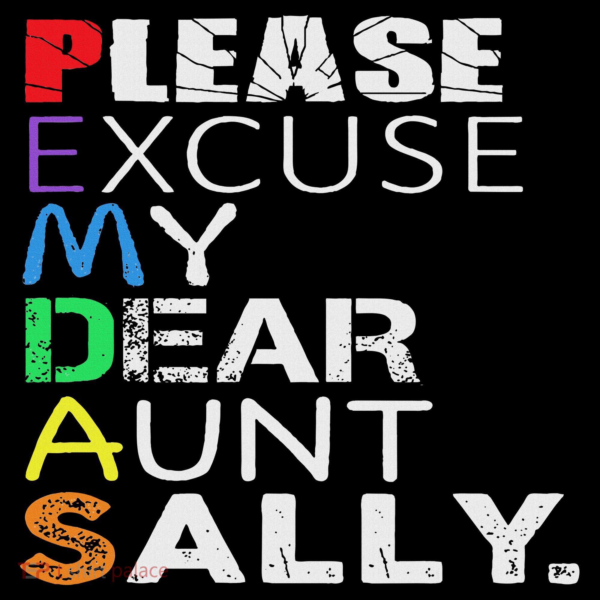 Pemdas Math Please Excuse My Dear Aunt Sally Kids T-Shirt