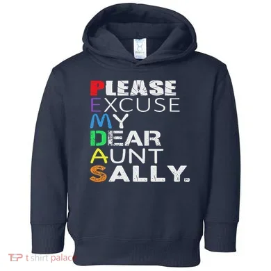 Toddler Hoodie