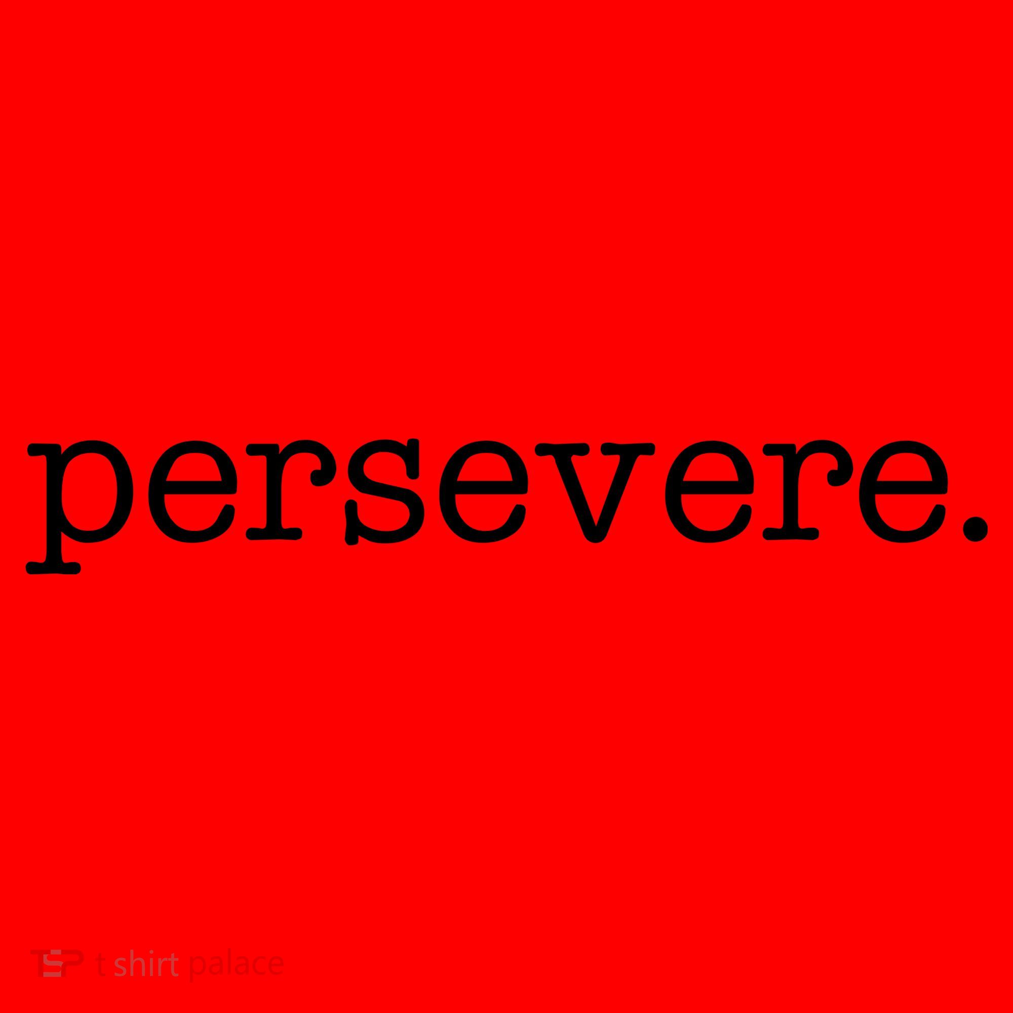 Persevere Motivation Santa Hat
