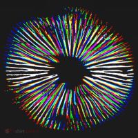 Psychedelic Mushroom Spore Mushroom Magic Present T-Shirt thumb 7