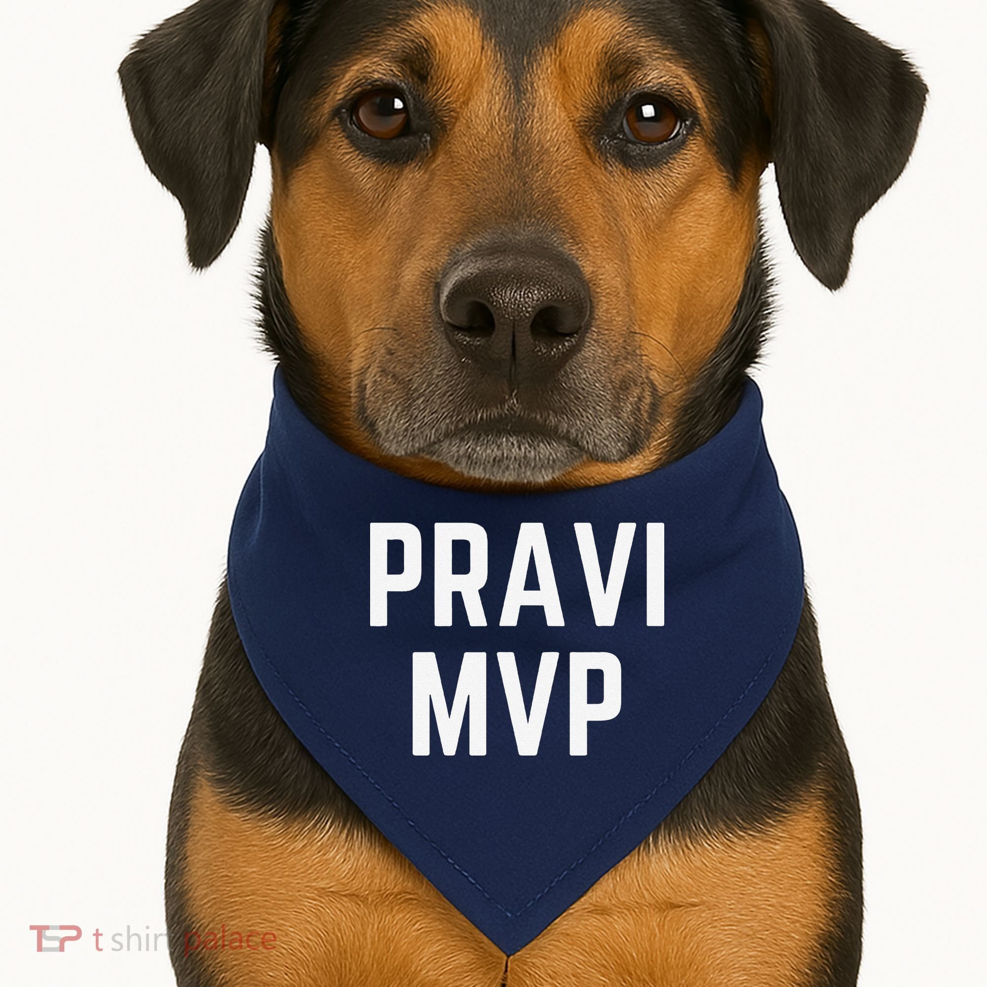 Pravi Mvp Slogan Dallas USA-Made Doggie Bandana