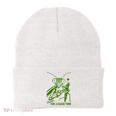 Praying Mantis Thanks For A Good Time Funny Beanie