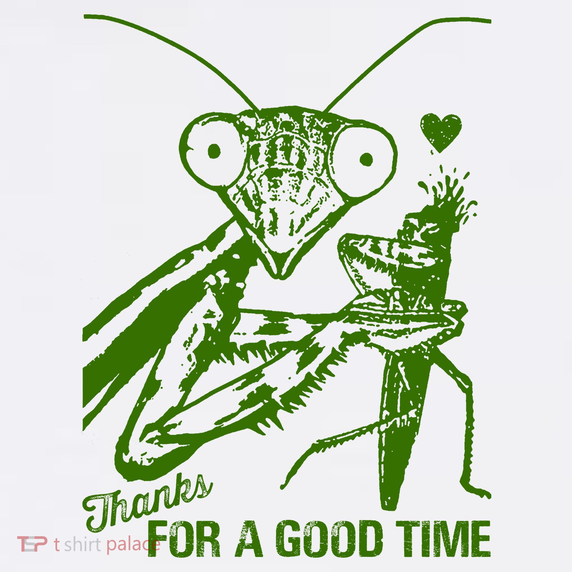 Praying Mantis Thanks For A Good Time Funny Women's T-Shirt