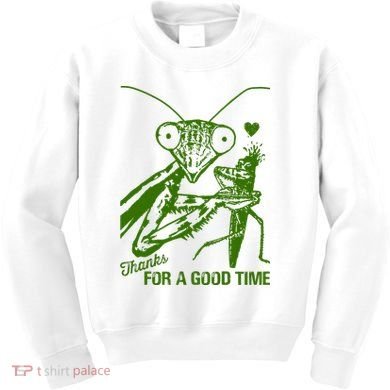 Praying Mantis Thanks For A Good Time Funny Kids Sweatshirt