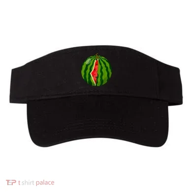 Visor