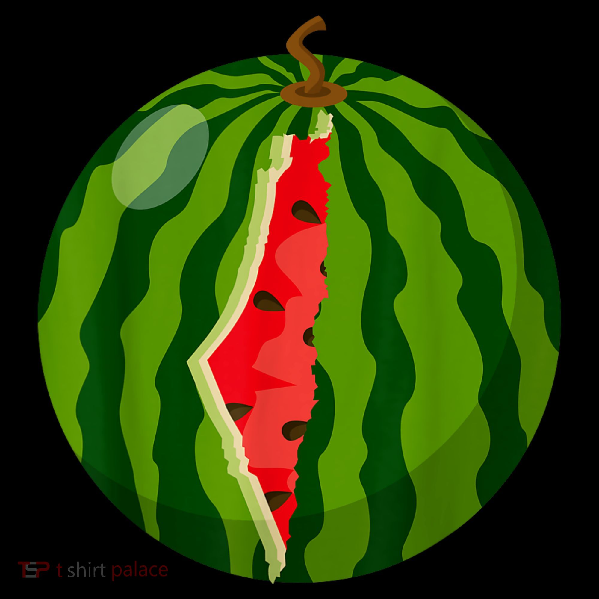 Palestine Map Watermelon Arabic Calligraphy Kids T-Shirt