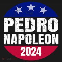 Pedro Napoleon 2024 Election Vote Funny Hoodie thumb 7