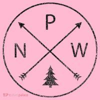 Pacific Northwest Arrows Pine Tree Pnw Coaster thumb 2