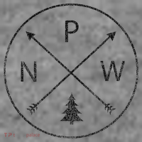 Pacific Northwest Arrows Pine Tree Pnw Toddler Hoodie thumb 2