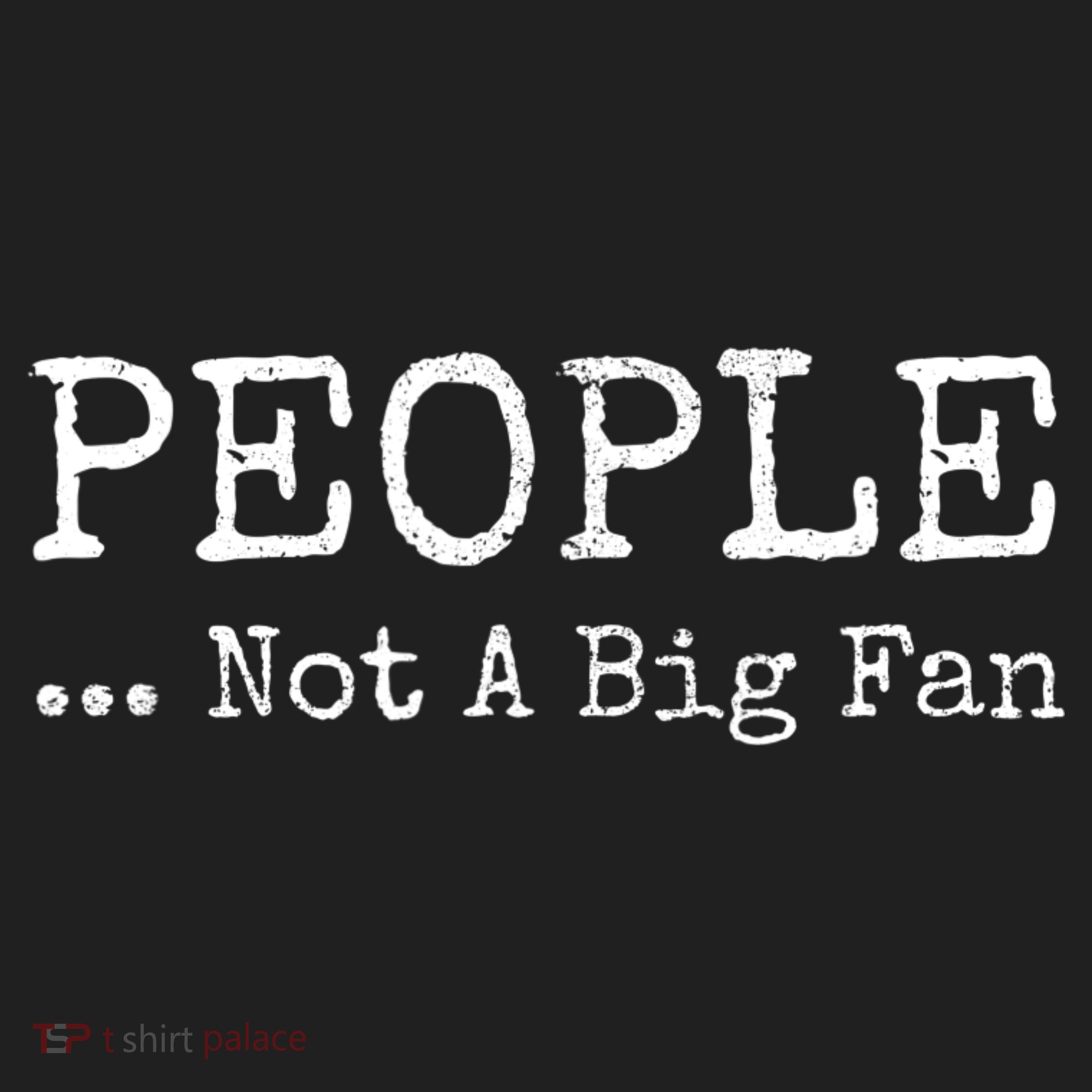 People Not A Big Fan Sarcastic Funny Introvert Beanie