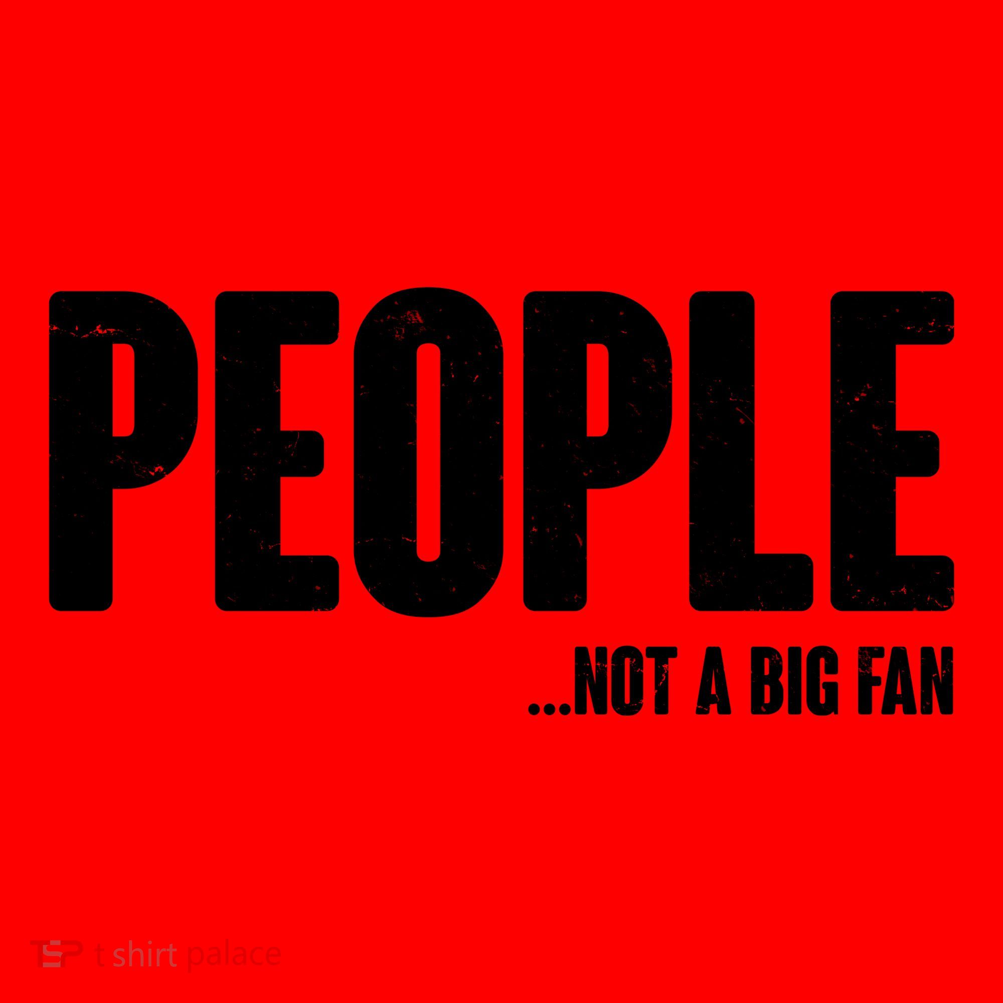 People Not A Big Fan Santa Hat