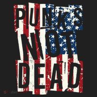 Punks Not Dead USA American Flag Hat thumb 2