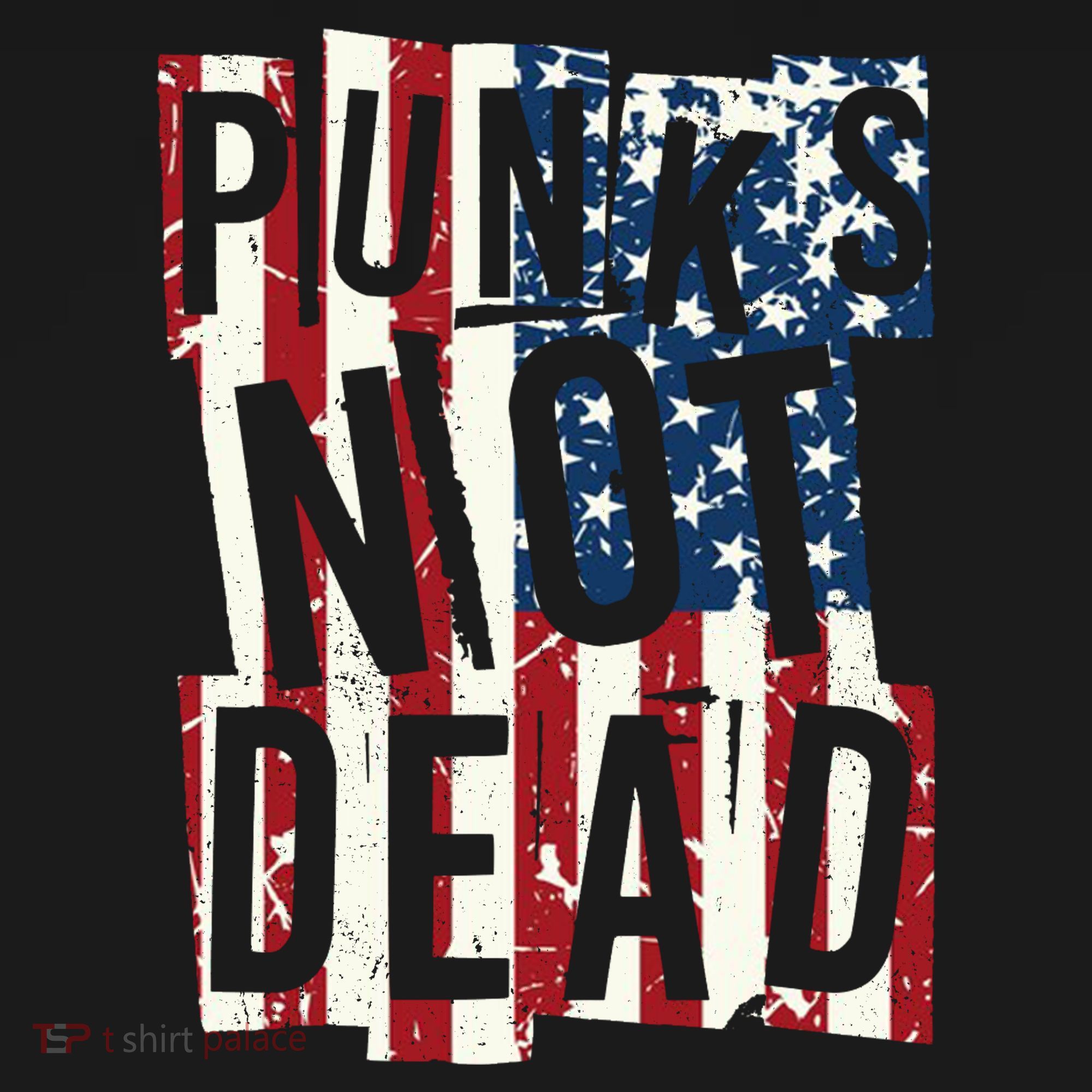 Punks Not Dead USA American Flag Toddler Hoodie