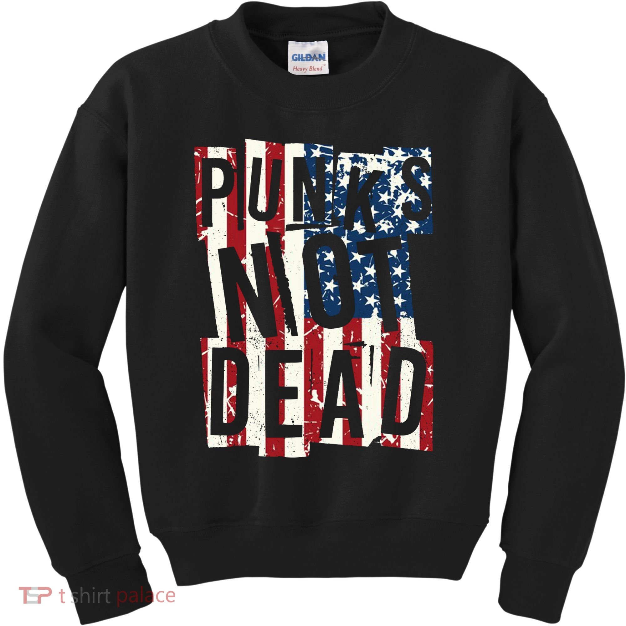 Punks Not Dead USA American Flag Kids Sweatshirt