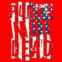 Punks Not Dead USA American Flag Santa Hat thumb 1