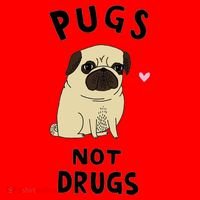 Pugs Not Drugs Santa Hat thumb 1