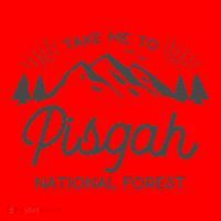 Pisgah National Forest Park North Carolina Santa Hat thumb 1